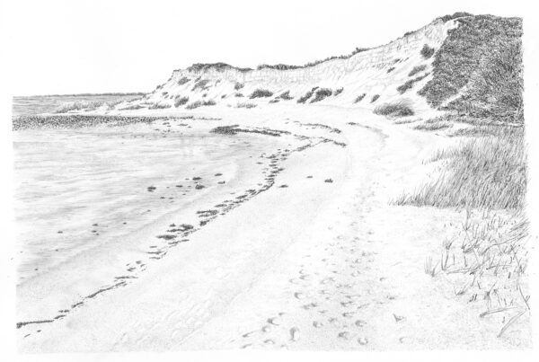 7 x EUROPEAN ESSAYS 2023 mit Zeichnung “STRAND” – Bild 2