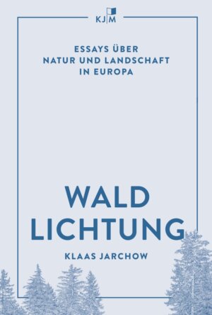 Klaas Jarchow Waldlichtung